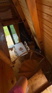 HillSide Cottage-ჰილსაიდ კოტეჯი - 3