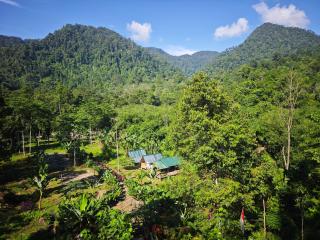 Bukit Lawang - Batu Kapal Rimba House - 3