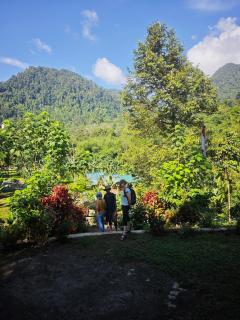 Bukit Lawang - Batu Kapal Rimba House - 1