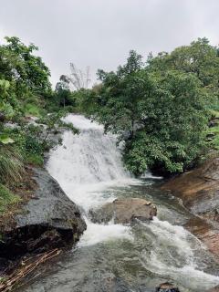 Forestview Farm Living Vagamon - 4