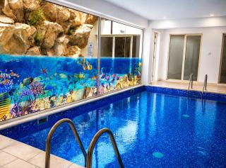 Pleasant Studio apartment, Z4 in Vanessa Complex - 2
