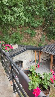 Stari kedar - 6