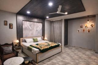 1 bhk Penthouse - 3
