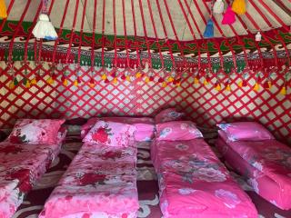 Elmar Ordo Yurt camp AltynArashan - 2