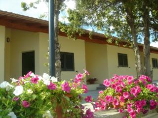Hotel Samarcanda - Civitavecchia - 9