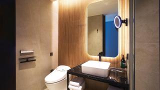 voco Seoul Gangnam by IHG - 6