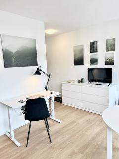 Stilvolles City-Studio mit Dachterrasse - 1
