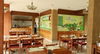 Jungle Park Resorts - 6