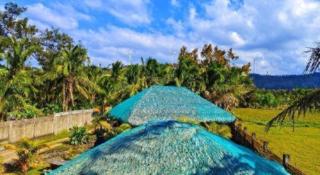 Natsuca Beach Resort - 8