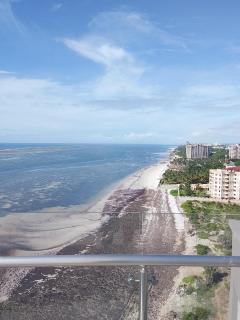 The beachfront Aqua garden vocation palace - 4