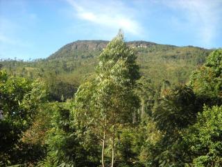 Hotel Blue Sky Adams Peak - 5