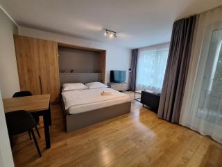 Entrez - apartmán pri hokejovej aréne - 7