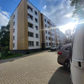 Central Apartament - 8