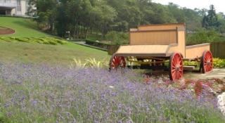 West Lake Resortopia - 4