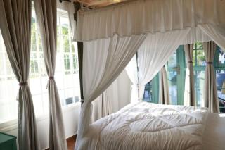 The Little Lane Cottage with Driver Room - 1