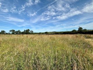Cider Cottage - A rural, tranquil barn conversion - 4