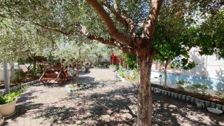 Elvish Garden Boutique B&B - 4
