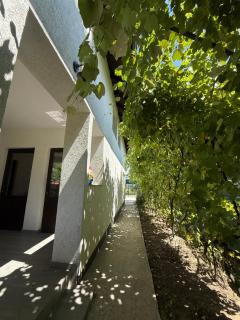 Vila MaeStar - 2