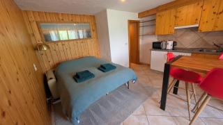 Petit studio à Lourtier - 3