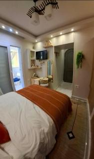 First occupency, Cozy studio - 7