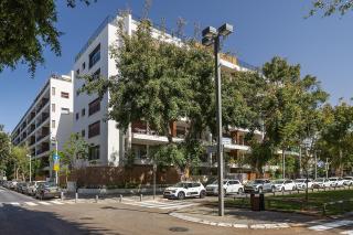 A unique gem in the beating heart of Jaffa - 3