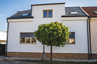 Vila Palachovka - apartmány se zahradou - 0