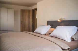 Vila Palachovka - apartmány se zahradou - 1