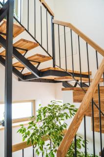 Vila Palachovka - apartmány se zahradou - 8