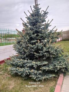 Ayara home - 5