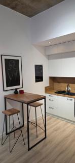 Apartament Loft 14 z ogródkiem - 1