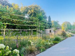 Ferienwohnung Lindenglück - 4