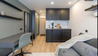 Song Valley Mini studio 204A - 4