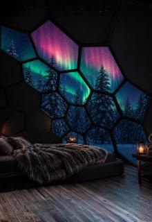 SKOG Aurora Glass Igloos - 1