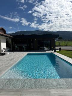 Le PoolHouse, proche du lac Léman & des montagnes! - 7