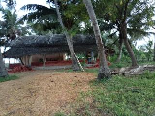 Paddy Villa - 0