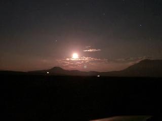 Wildlife BBQ, Stargazing Black Cat Ranch Awaits - 3
