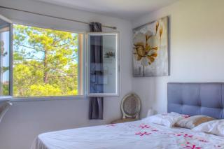 Cosy cocoon with balcony close to the sea - 3