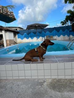 Casa com Piscina na Praia do Forte em Itamaracá - 2