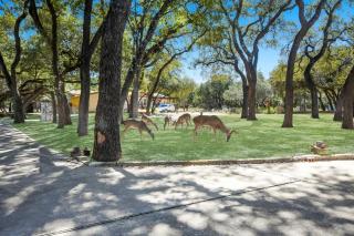 Lake Oaks Landing-Sunset Lake Views-Lago Amenities - 5