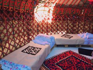 Mars Canyon Yurt Camp - 8