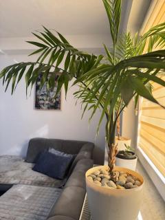 Apartman Emilija - 9