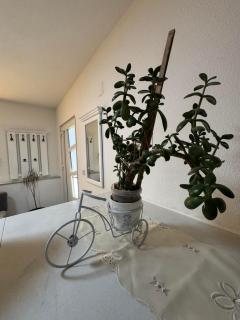 Apartman Emilija - 3