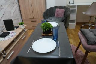 Veldi Apartment Kisela Voda -Private Parking - 3
