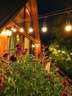 Tasia's Cottage - 8
