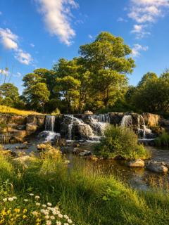 Tasia's Cottage - 9