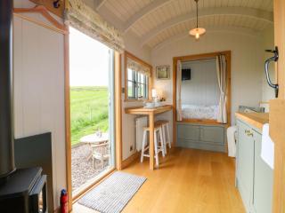 Meadow Shepherds Hut - 8