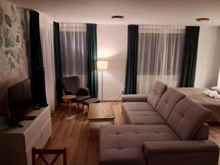 VIRIDIS Apartment - Františkovy Lázně - 9