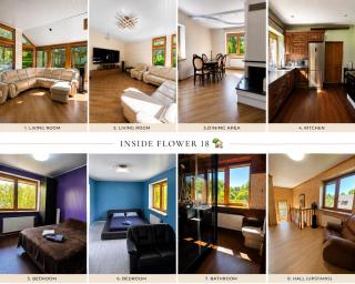 Flower 18 - 9
