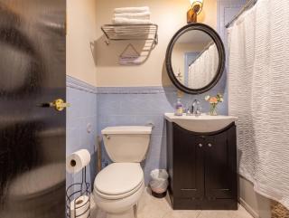 Gorgeous Two Bedroom Flat in Manhattan - 7