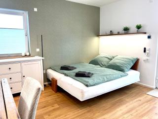 cozy, lovely newly renovated 1 room apartment - 8